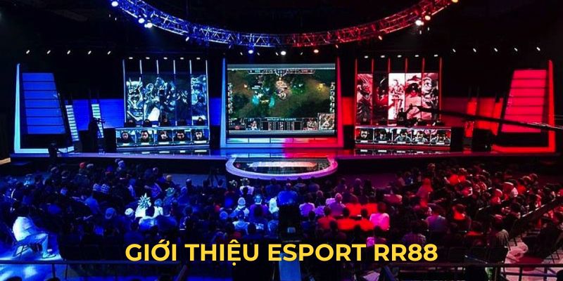 Cơ bản về danh mục Esport tại RR88